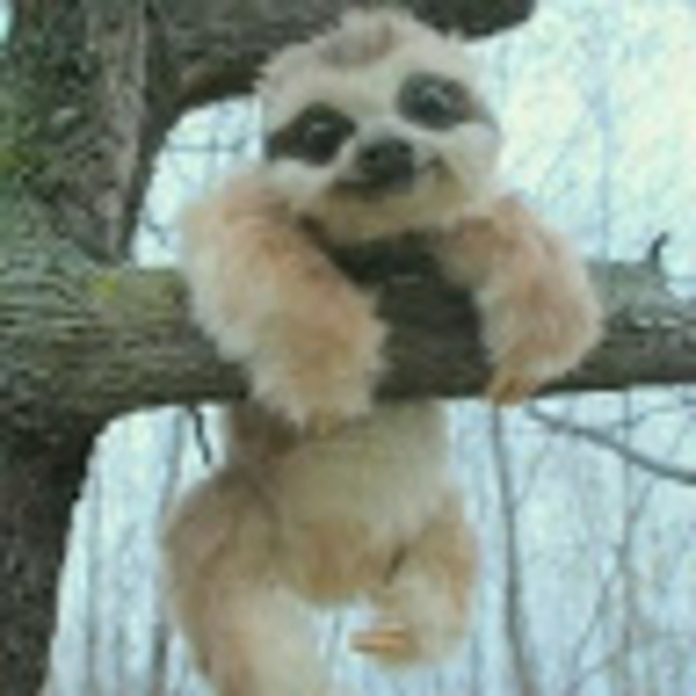 Meet your Posher, Christine